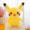main-image-3-2.jpeg Pikachu Medium!